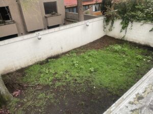 Vista de terraza Jardín