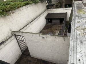 Patio trasero